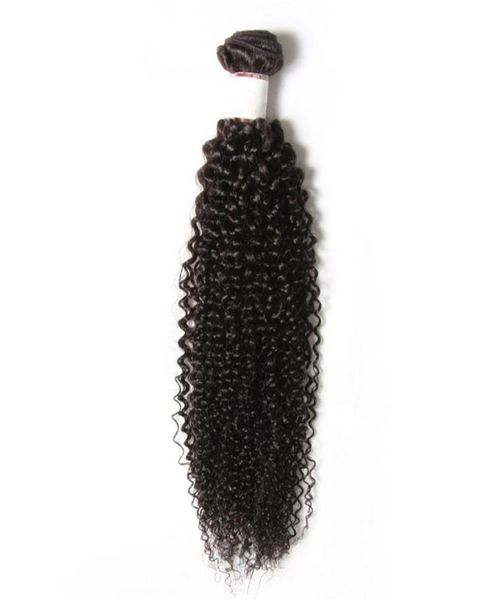 

one bundle 830inch unprocessed indian hair curly human hair 100 brazilian malaysain peruvain afro hair extensions4178199, Black
