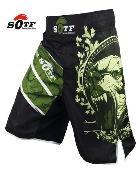

soft green bear fitness breathable mma fighting workout shorts tiger muay thai boxing shorts kickboxing shorts pretorian yokkao6546026974, Blue