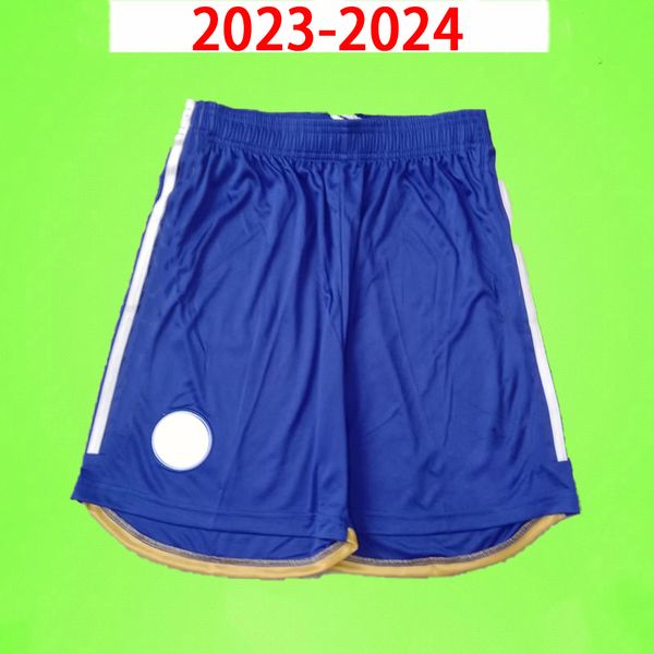 

leicesters city 2023 2024 soccer shorts vardy gray daka barnes ndidi iheanacho ndidi hall winks praet home away 23 24 football pants blue bl, Black;red