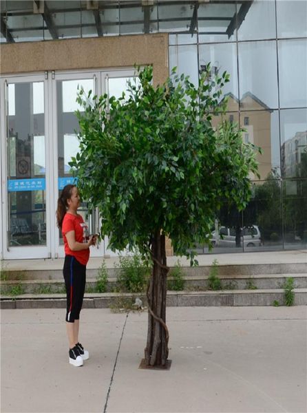 

artificial ficus microcarpa artificial big tree fake trees large plant decoration el lobby composition9994649