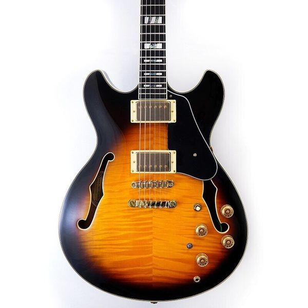 

jsm10 vys john scofield model electric guitar as same of the pictures