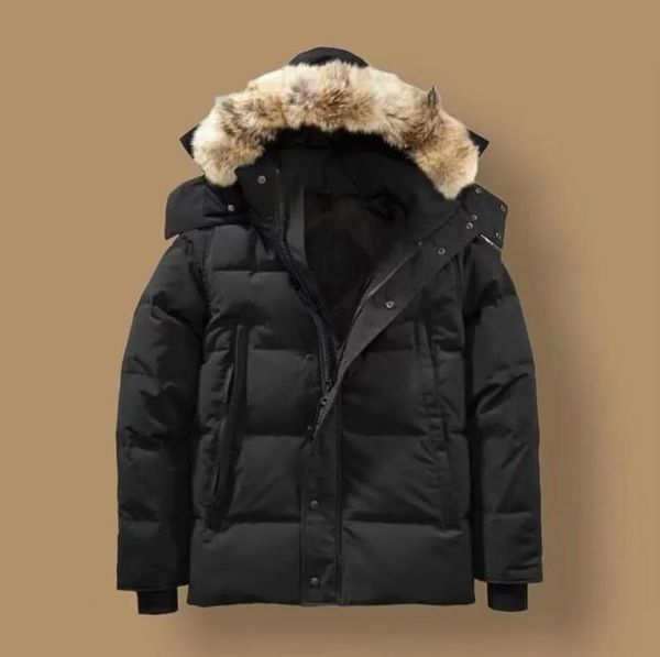 

canada puffer jackets men designer real coyote fur outdoor wyndham windbreaker jassen outerwear hooded fourrure manteau down jacket coat hiv, Black