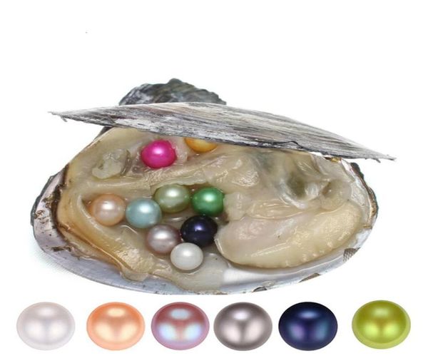 

whole 2018 akoya oyster pearl 67mm round pearl in oysters akoya oyster shell with colouful pearls jewelry by vacuum packed 6 2871787, White
