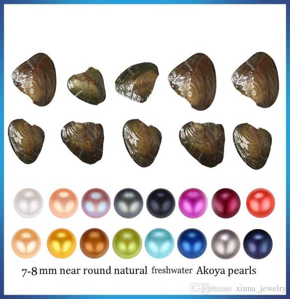 

akoya pearl oyster round 78mm 25 colors freshwater natural cultured in fresh oyster pearl mussel farm supply whole2178230, White