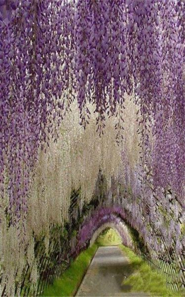 

romantic artificial flowers simulation wisteria vine wedding decorations long short silk plant bouquet room office garden bridal a7960564