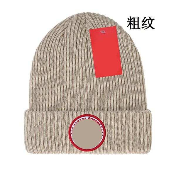 

wholesale designer knitted hat ins popular canada winter hats classic letter goose print knitted caps h5-8.16, Blue;gray
