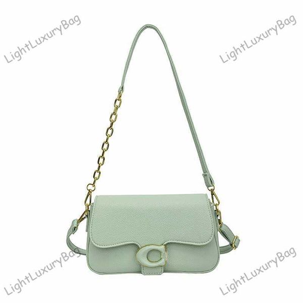

fashion light green handbag designer crossbody bags for women luxury brand shoulder leather designer bag classic purses with gold chain 2308