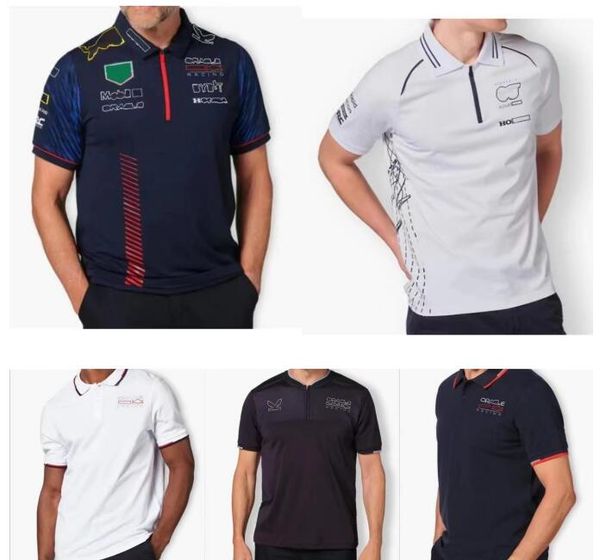 

formula 1 polo shirt 2023 short-sleeved t-shirt with the same custom