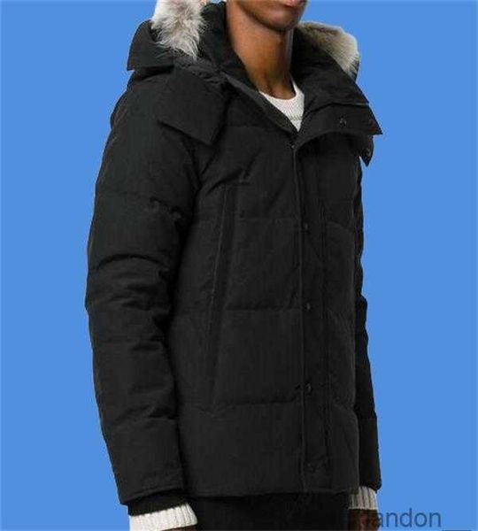 

winter men down jackets real coyote fur designer homme puffer outdoor windbreaker outerwear hooded fourrure manteau canada wyndham coat hive, Black