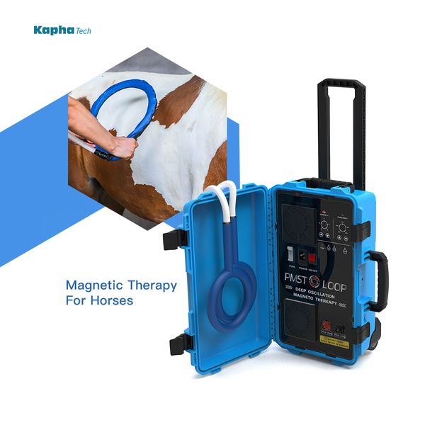 

pemf loop for equine injury swelling and rehabilitation pmst magnetic equipment