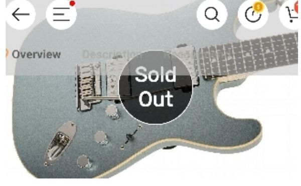 

electric guitar as same of the pictures