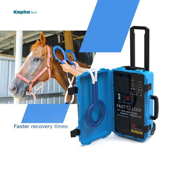 

pmst loop for equine therapy back pain and thigh disease rehabilitation machine