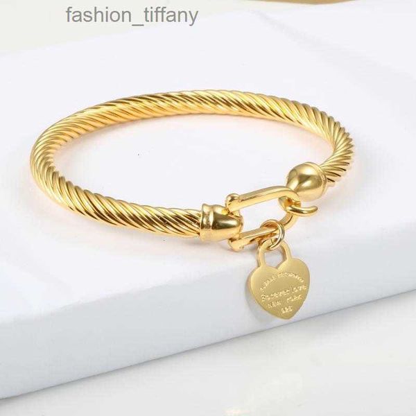 

titanium steel bangle cable wire gold color love heart charm bangle bracelet with hook closure for women men wedding jewelry gifts1, Black