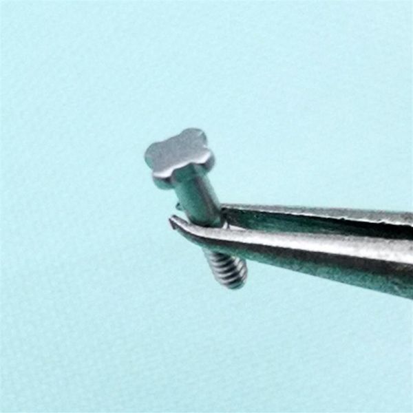 

12 pcs 4 star four star silver brushed stainless steel screw for rm rm 50-03 01 rm-11 rm011 watchband strap211v