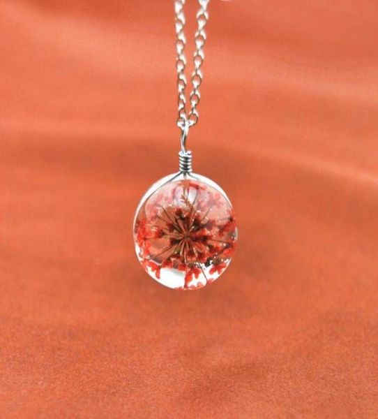 

fashion natural plant real dry flower glass ball necklace for women silver chain pendant necklaces female collar jewelry gift whol1735521