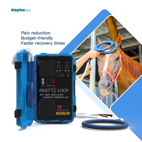 

magnawave physio magneto pmst loop veterinary equine magnetic pemf horse device