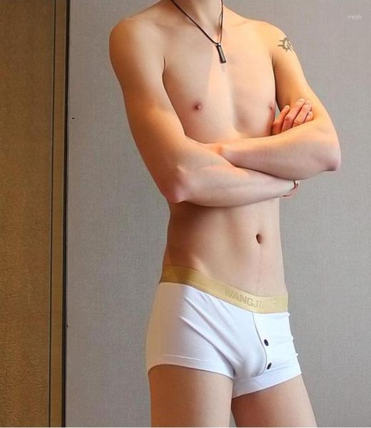 

underpants wangjiang boxershorts men cotton underwear men39s u boxer shorts breathable panties intimate open front white x5072139, Black;white