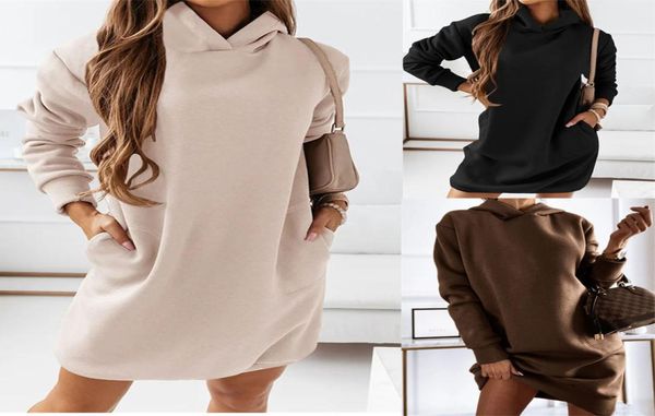 

casual dresses for women 2022 autumn high neck long sleeve fashion plain pocket design daily mini straight sweatshirt dress5578086, Black;gray