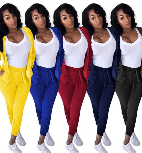 

autumn newst women casual hooded tracksuits long sleeve zipper stripes coat long pants girls two pieces sportspants sets winter ho8279456, Gray