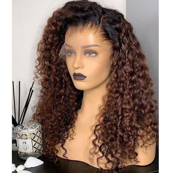 

220%density Pre Plucked 360 Lace Frontal Human Hair Wigs with Natural Hairline Dark Brown Bouncy Curly 13x6 Lace Front Wigs Remy, Mix color