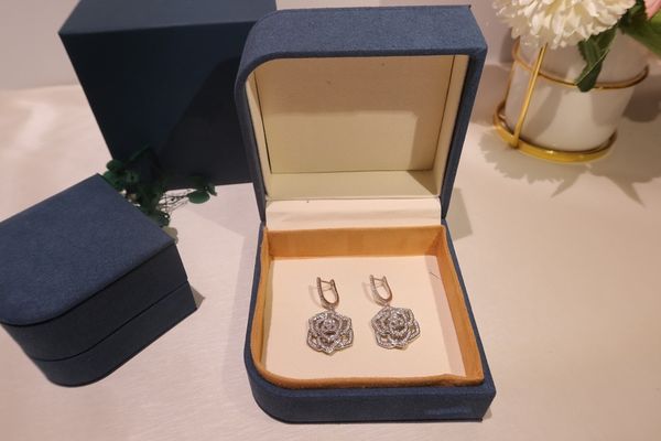 

temperament long stud earrings earrings pendant tassel earrings female autumn and winter 2023 new tide sterling silver light luxury high sen, Golden