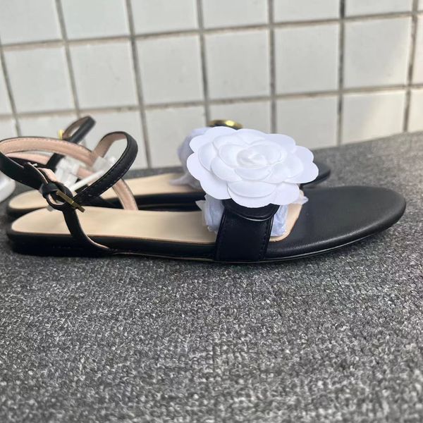 

europ style shoes classic women's sandals summer casual versatile one line low heel shoes full package size 35-40 buckle strap, Black