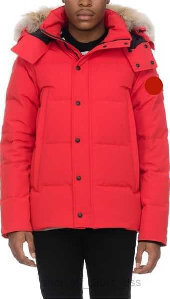 

winter men down jackets real coyote fur designer homme puffer windbreaker jassen outerwear hooded fourrure manteau jacket coat hiver parka 1, Black