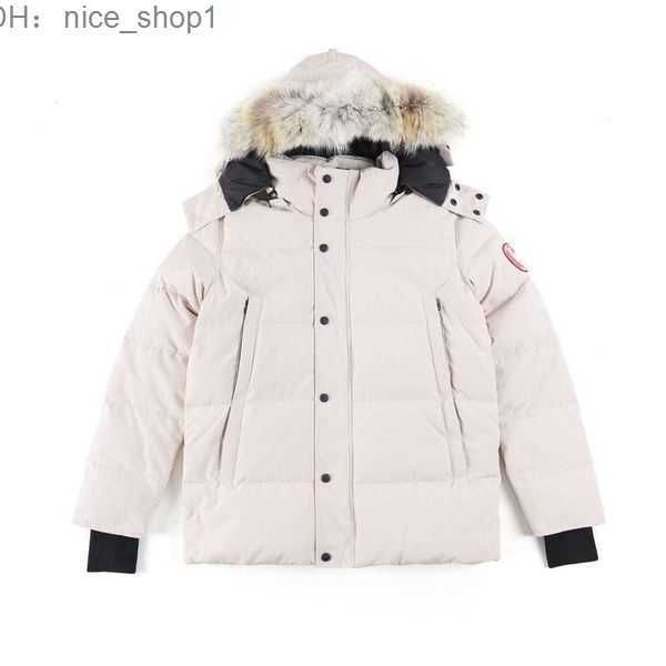 

canadian designer men's down women's goose jacket parkers winter hooded thick warm coats female canda goose 2 83i6, Black