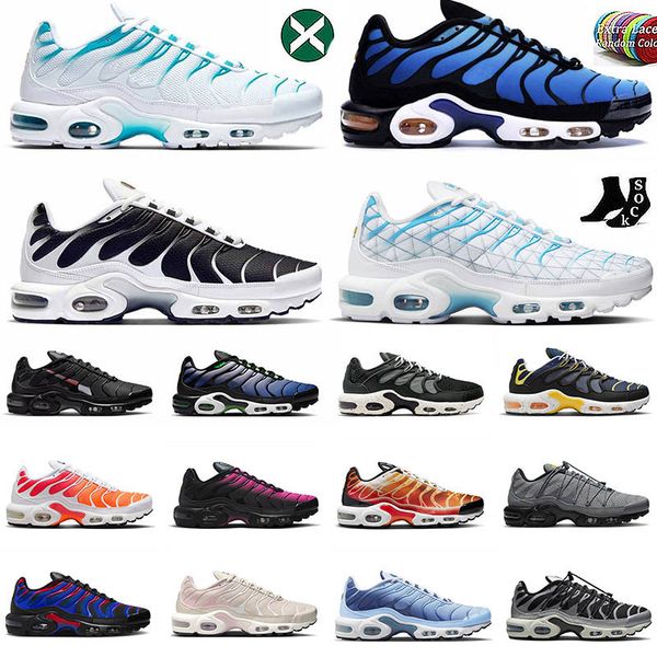 

tn plus running shoes mens unity white black royal grey club university blue hyper reverse sunset men womens tn 3 sneakers trainers sports s