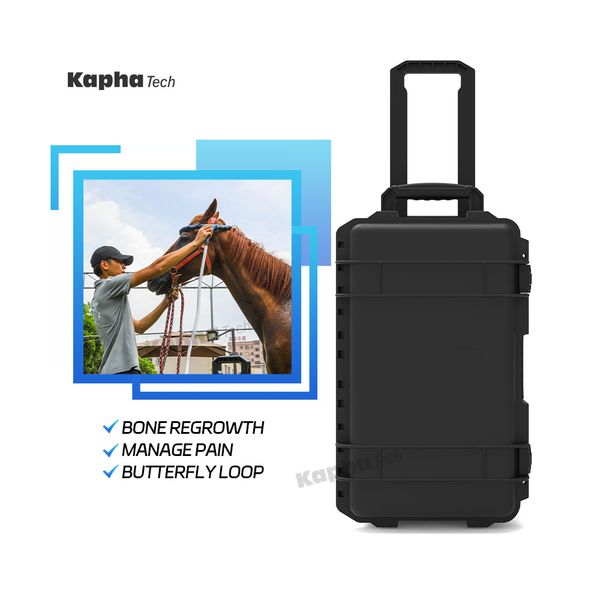 

equine pemf loop for horse back pain and hock disease magnetic machine