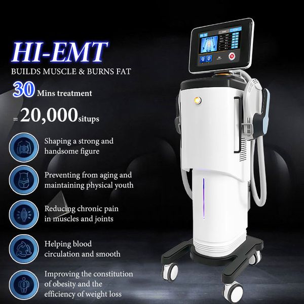 

fitness trainer low voltage electric slimming muscle firming beauty equipment 2024 professional smart electric body fitness machine