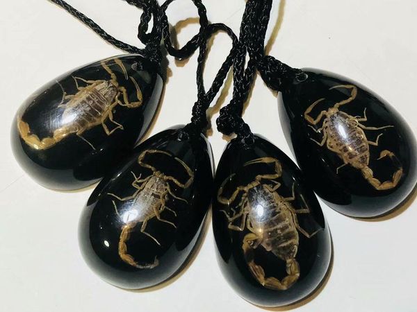 

other 12 pcs unique insect epoxy scorpion creative trinkets black drop accessories