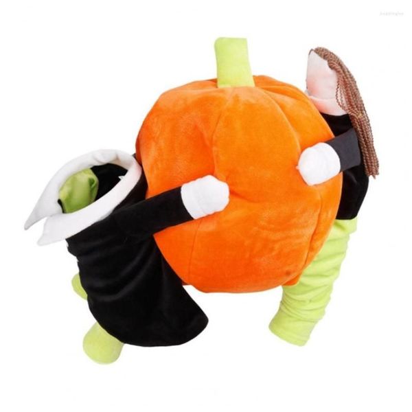 

dog apparel stylish pet wear cute funny entertaining cats transformed clothing