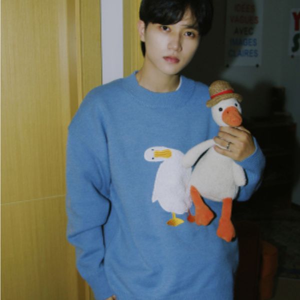 

men's sweaters harajuku oversized knitted sweater cartoon duck goose embroidery jumpers vintage fashion oneck streetwear couple pullove, White;black