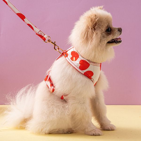 

dog collars leashes pet supplies printed pattern hardnesses clothing material