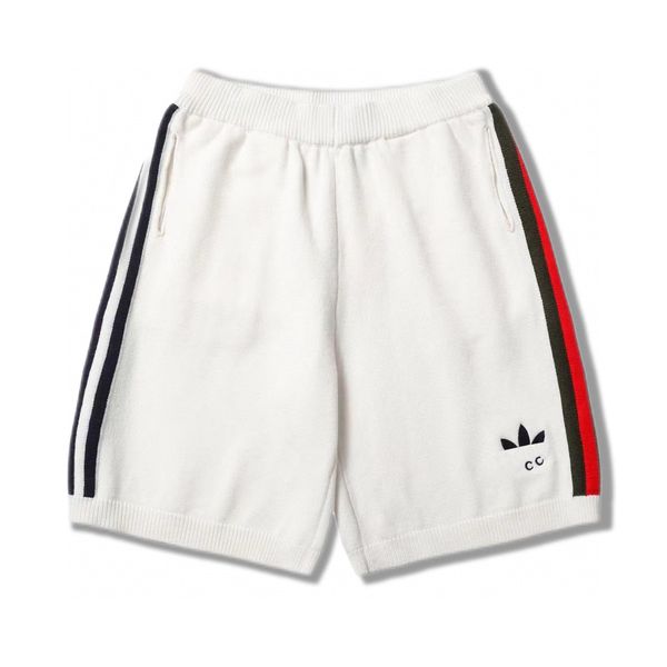 

men's plus size shorts waterproof outdoor quick dry hiking shorts running workout casual quantity anti picture technics 21d