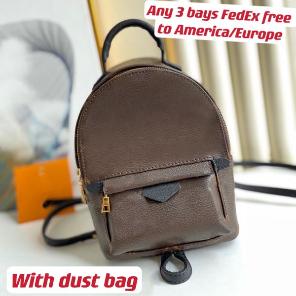 

palm springs mini backpack lady designer bags brown color in gold-color hardware soft cowhide trim with foam backing woman designer fashion