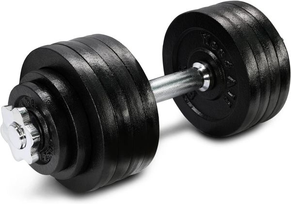 

52.5 lbs adjustable dumbbell weight set cast iron dumbbell single