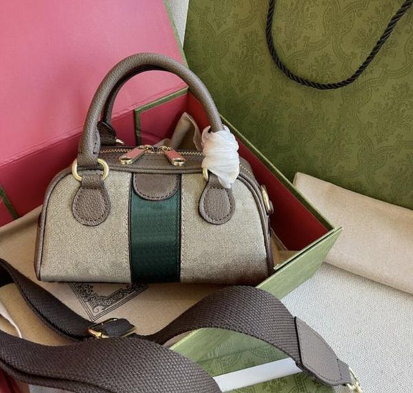 

2023 classic traveler bag 32cm and 21cm fashion women shoulderbag mono pillow totes handbags crossbody coin purse