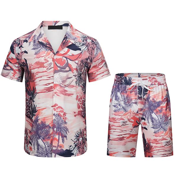 

2023 delivery summer mens designers tracksuits jogging suit men tracksuit pullover running sweatshirt man short sleeve pants fashion sweat t, Gray