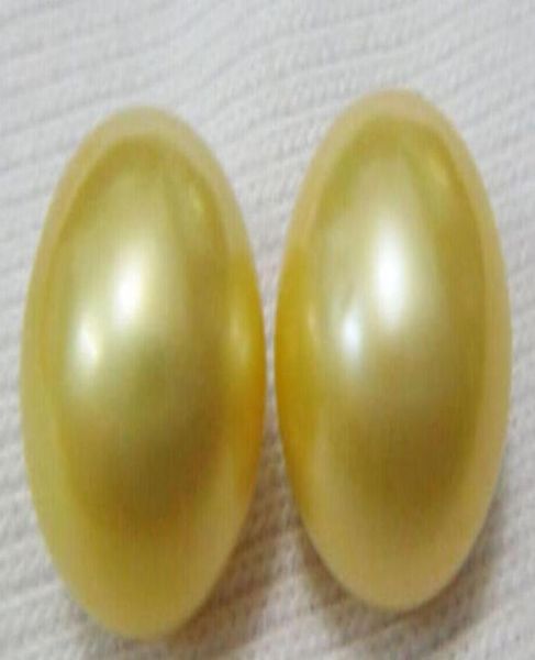 

natural huge 1213mm south sea golden stud pearl earring 14kt4789692, Golden;silver
