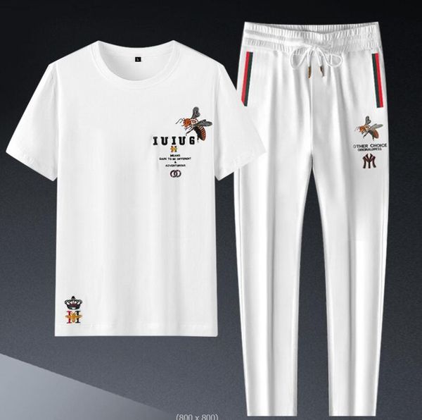 

men's tracksuits 2022 men suit summer fashion luxury brand handsome embroidered ice silk short sleeve fashion casual set, Gray