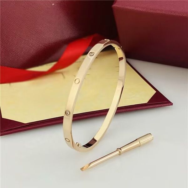 

4mm thin 6th titanium steel designer women men love bracelet bangles silver rose gold screw screwdriver nail bangle bracelet couple jewelry, Golden;silver