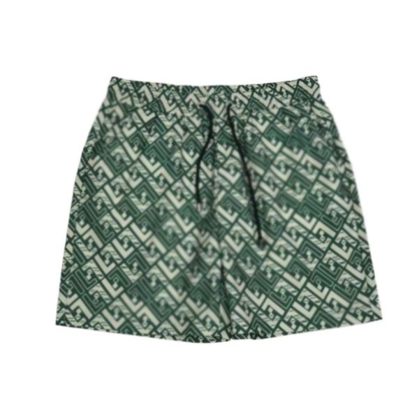 

men's plus size shorts waterproof outdoor quick dry hiking shorts running workout casual quantity anti picture technics q4r3n