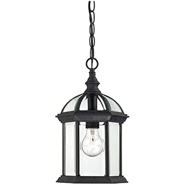 

nuvo lighting boxwood outdoor hanging lantern light fixture with clear beveled glass, 13.75 x 8-inches, 100 watts 120 volts, black