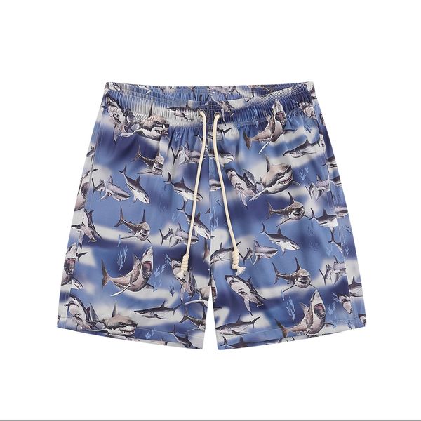 

men's plus size shorts waterproof outdoor quick dry hiking shorts running workout casual quantity anti picture technics q5m6n