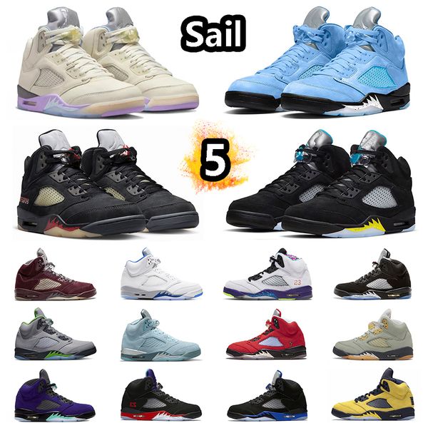 

jumpman 5 unc basketball shoes 5s we the sail burgundy crimson bliss easter green bean pinksicle alternate bel-air alternate grape sneaker f
