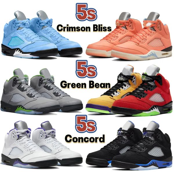 

2023 new jumpman 5 5s retro basketball shoes crimson bliss unc green bean what the concord racer blue easter noir bluebird anthracite 3 mens