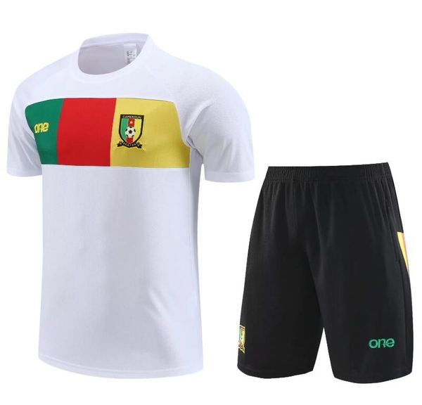 

2023 men's tracksuits cameroon soccer training running suit, Gray