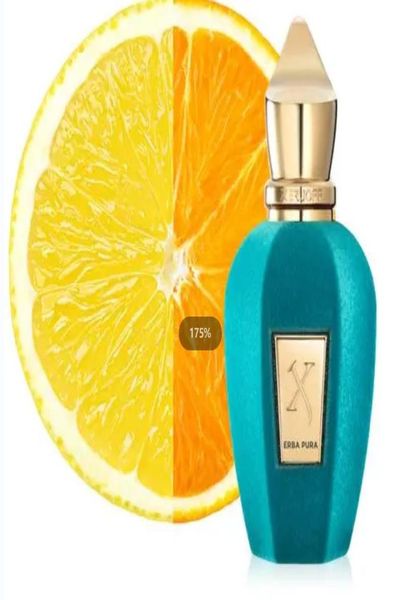 

xerjoff accent neutral edp women039s abstract perfume lasting light fragrance tiktok explosive dando men039s niche perfume w3099295
